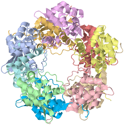 Image Asym./Biol. Unit