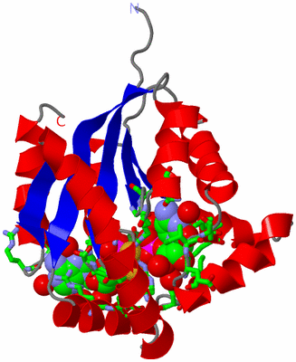 Image Asym./Biol. Unit - sites