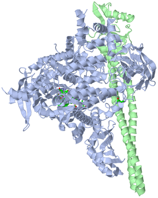 Image Asym./Biol. Unit - sites