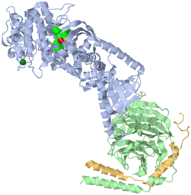 Image Asym./Biol. Unit