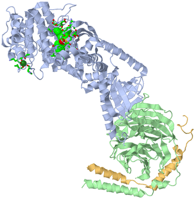 Image Asym./Biol. Unit - sites