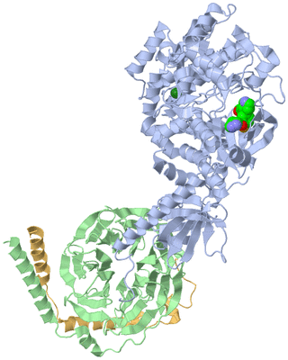 Image Asym./Biol. Unit