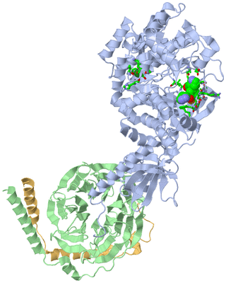 Image Asym./Biol. Unit - sites