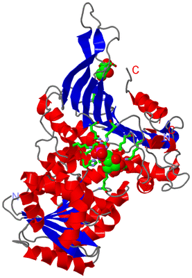 Image Asym. Unit - sites