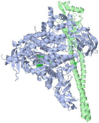 Image Asym./Biol. Unit - sites