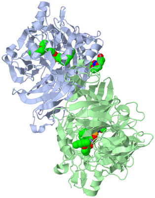 Image Asym./Biol. Unit