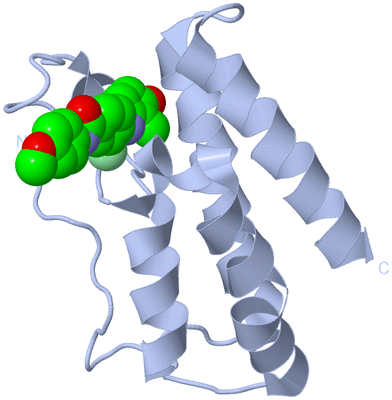 Image Biological Unit 1