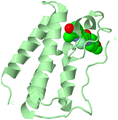 Image Biological Unit 2