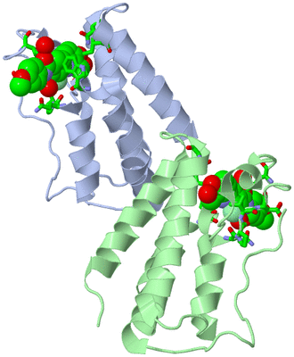 Image Asym. Unit - sites