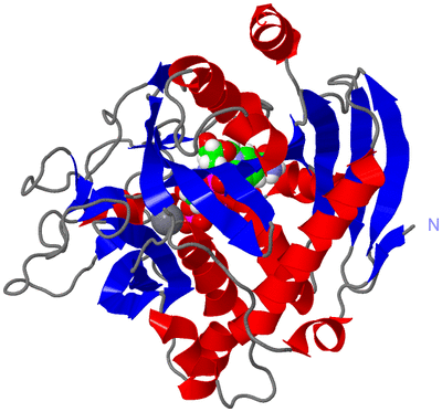 Image Asym./Biol. Unit