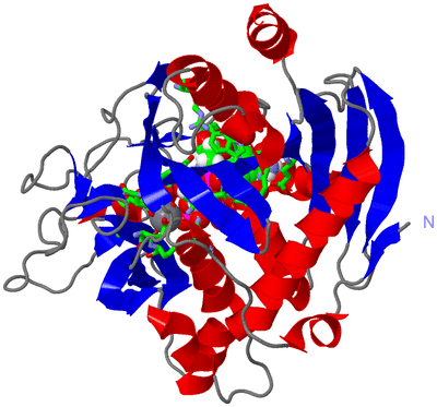 Image Asym./Biol. Unit - sites