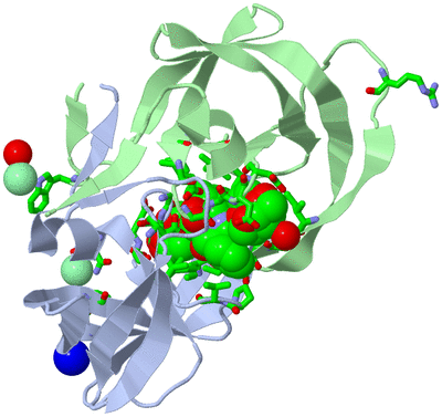 Image Asym./Biol. Unit - sites