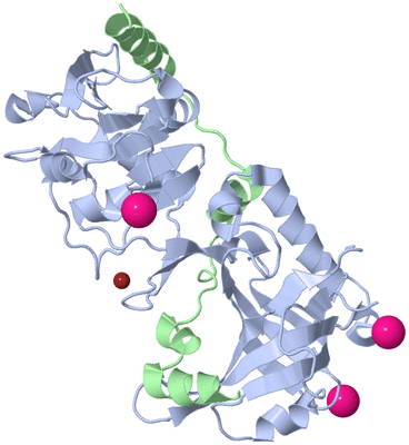 Image Biological Unit 1