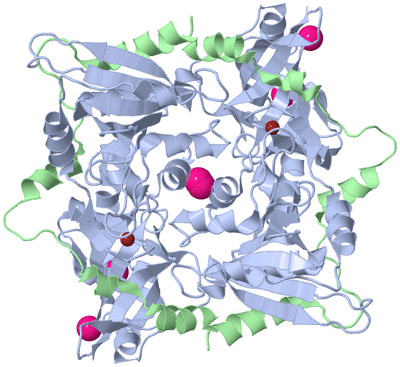 Image Biological Unit 2