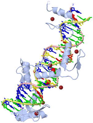 Image Biological Unit 1