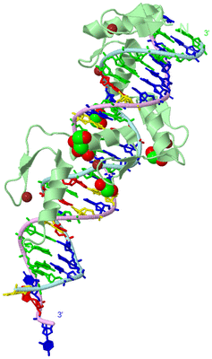 Image Biological Unit 2