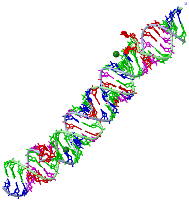 Image Biological Unit 1