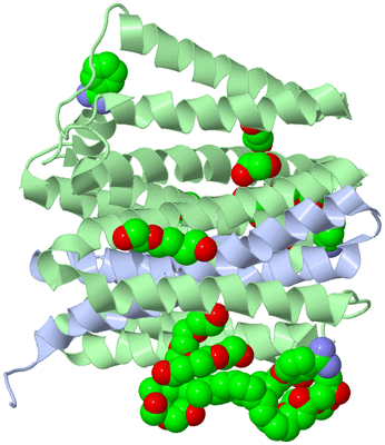 Image Biological Unit 1