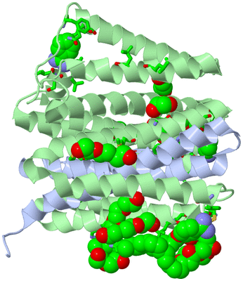 Image Biol. Unit 1 - sites