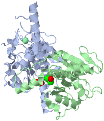 Image Asym./Biol. Unit