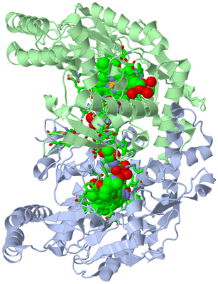 Image Asym./Biol. Unit - sites