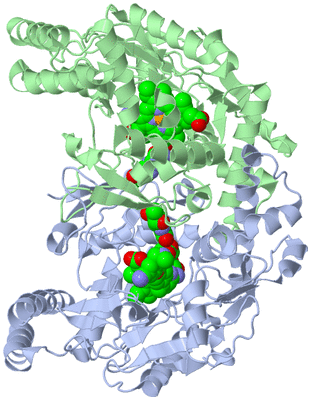 Image Asym./Biol. Unit