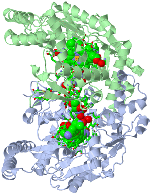 Image Asym./Biol. Unit - sites