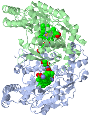 Image Asym./Biol. Unit