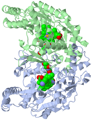 Image Asym./Biol. Unit