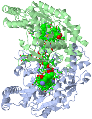 Image Asym./Biol. Unit - sites