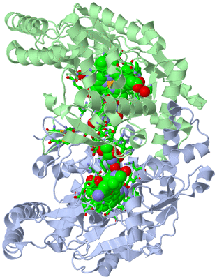 Image Asym./Biol. Unit - sites