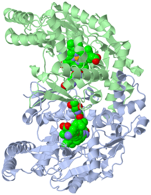 Image Asym./Biol. Unit