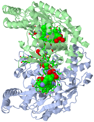 Image Asym./Biol. Unit - sites