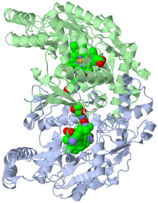 Image Asym./Biol. Unit