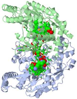 Image Asym./Biol. Unit - sites