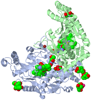 Image Biological Unit 1