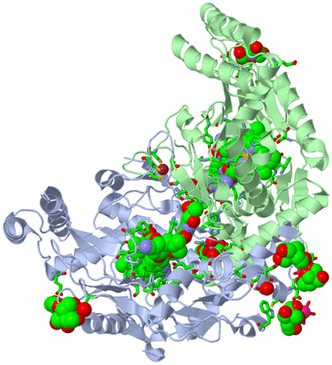 Image Biol. Unit 1 - sites