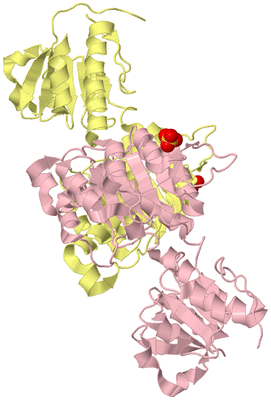 Image Biological Unit 2