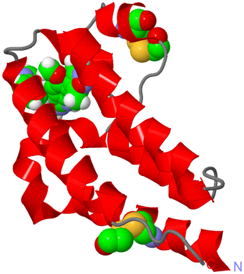 Image Asym./Biol. Unit