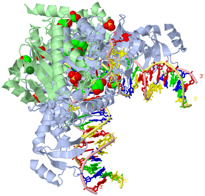 Image Biological Unit 1