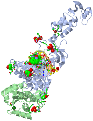 Image Asym. Unit - sites