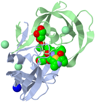 Image Asym./Biol. Unit