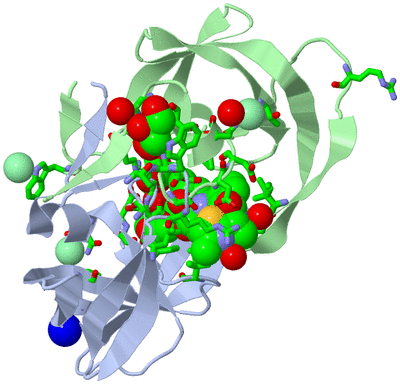 Image Asym./Biol. Unit - sites