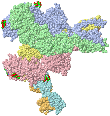 Image Asym./Biol. Unit