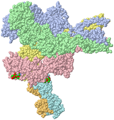 Image Asym./Biol. Unit - sites