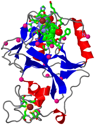 Image Asym./Biol. Unit - sites