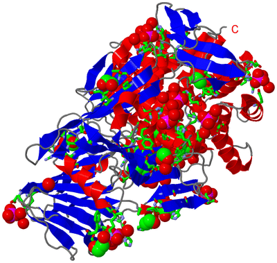 Image Asym./Biol. Unit - sites