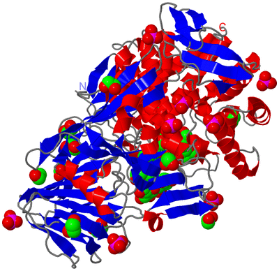 Image Asym./Biol. Unit