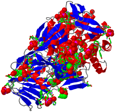 Image Asym./Biol. Unit - sites