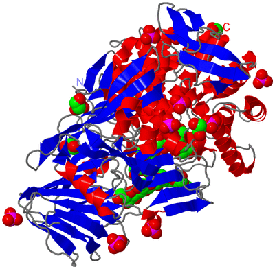 Image Asym./Biol. Unit